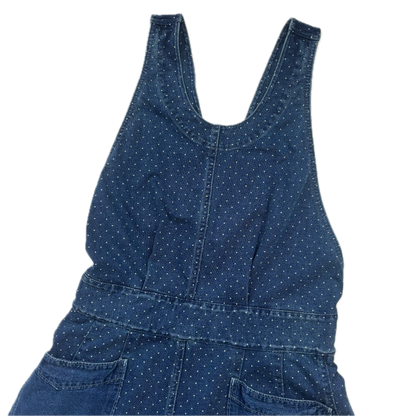 RRL Blue Polka Dot Dungarees Overalls - M